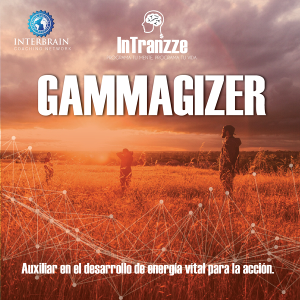 Gammagizer